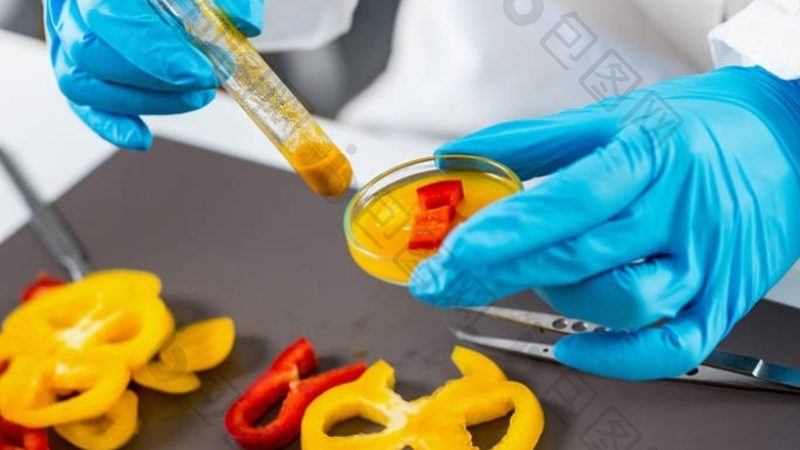 食品招商：规格型号背后的秘密**